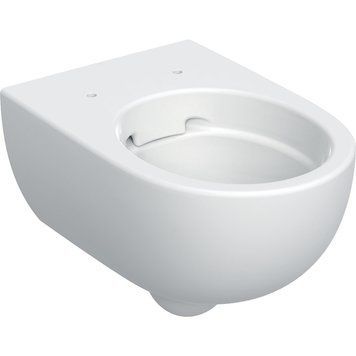 502.035.00.1 Підвісний унітаз Geberit Selnova, Premium, змивний, з кожухом, Rimfree 502.035.00.1 фото
