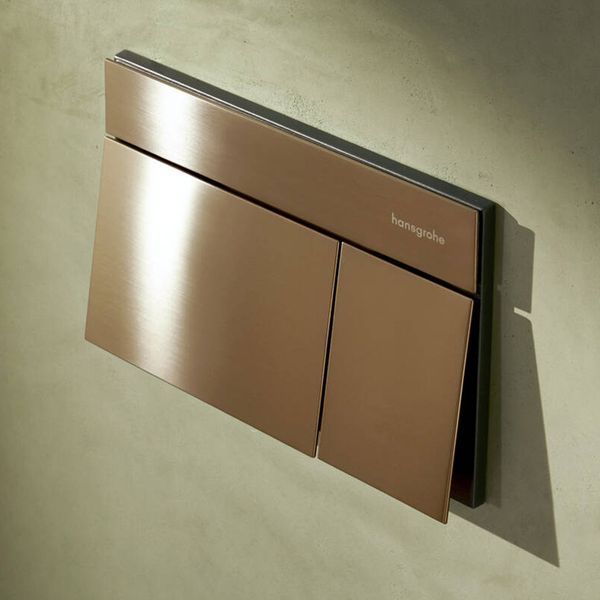 66003140 HG Змивна клавіша iFrame Element E, brushed bronze 66003140 фото