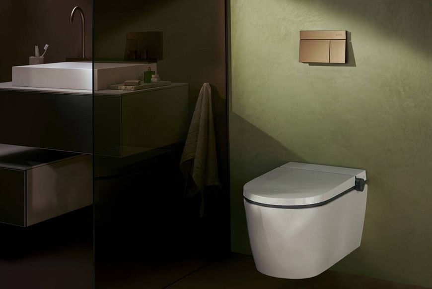 66003140 HG Змивна клавіша iFrame Element E, brushed bronze 66003140 фото