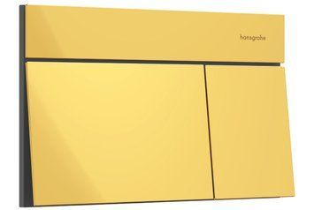 Панель змиву iFrame Element E Polished Gold Optic (66003990) 66003990 фото