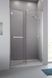 Душові двері Carena DWJ 120 L RADAWAY 134332-01-01NL &ndash; фото 1