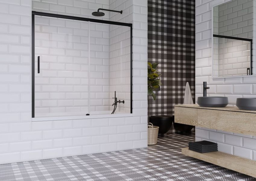 Двері для ванни Idea Black PN DWJ 160 R RADAWAY 10003160-54-01R фото