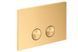 Панель змиву AXOR FlushPlate Sigma, Brushed Gold Optic (42530250) 42530250 &ndash; фото 1
